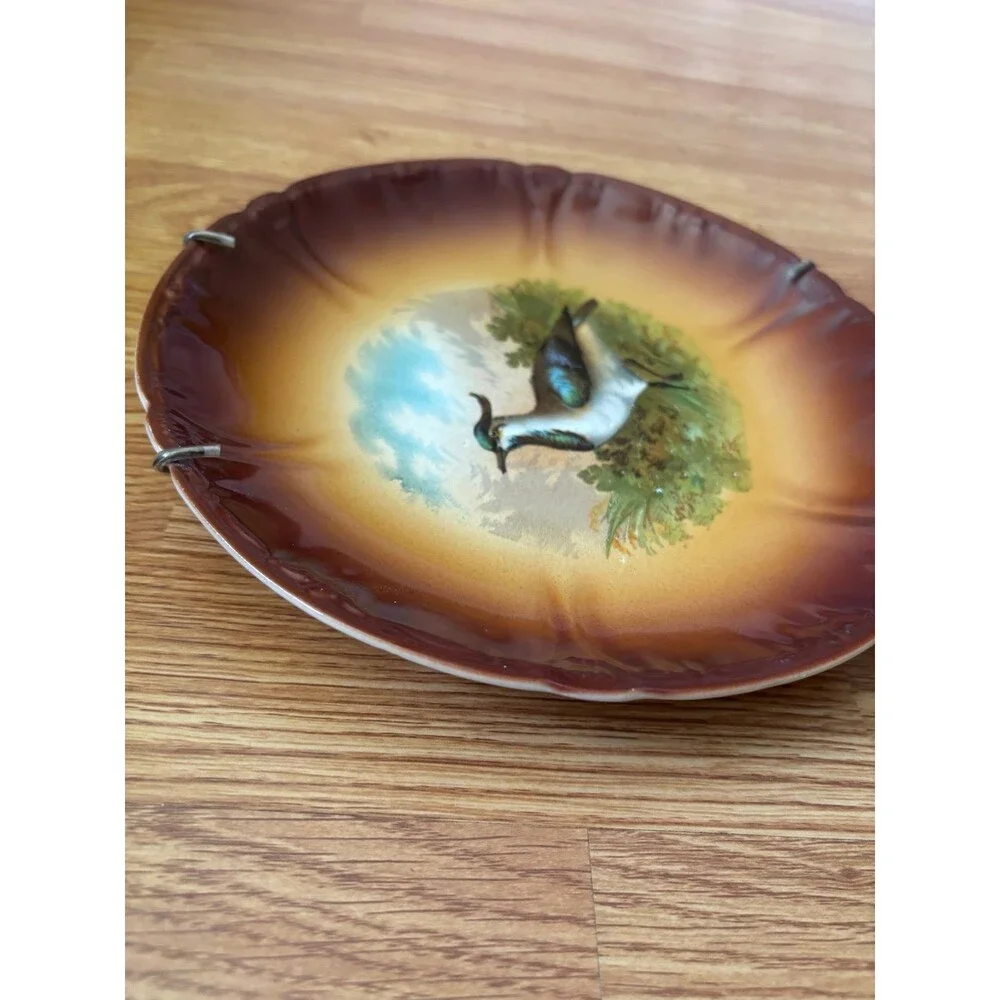 Antique Franz Anton Mehlem Bonn 10” Bird Wall Plate German Porcelain Lapwing